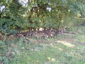 The Insect Hotel is located under the north face of the maple hedgerow